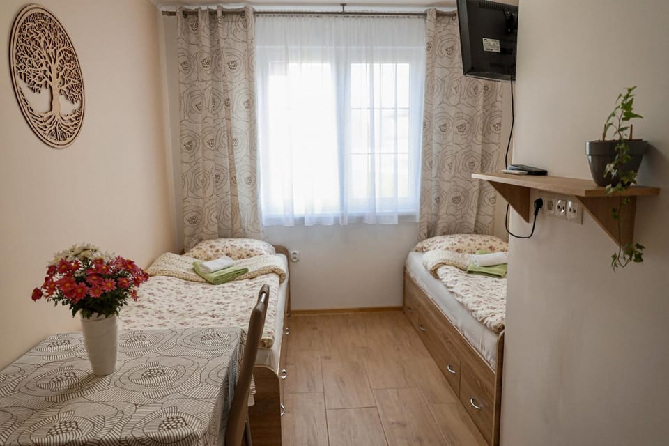 Bedroom, wardrobe, air conditioner