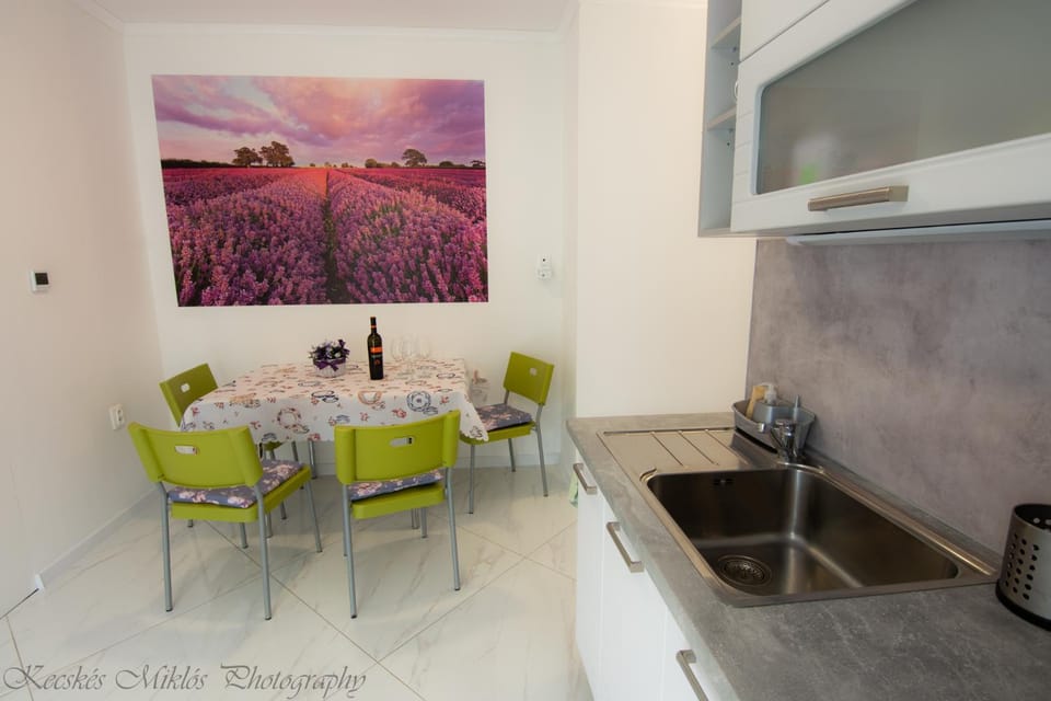 Kitchen or kitchenette, microwave, stove