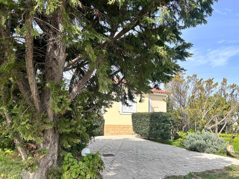 Orfanos Houses No2 House in Messenia