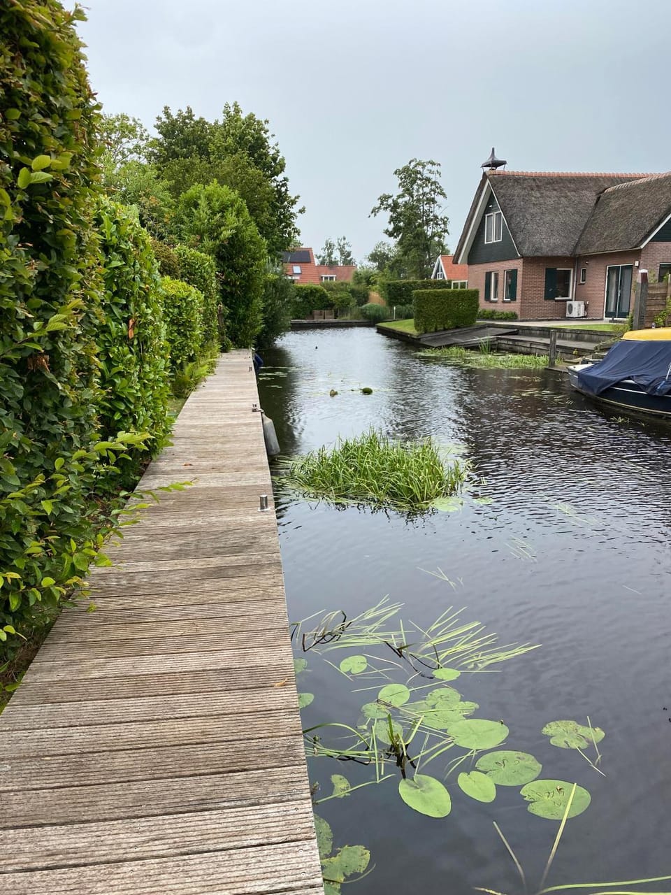 Winter, Garden, View (from property/room), Balcony/Terrace, Aqua park, Aqua park, Windsurfing, Garden view, Lake view, River view, internet
