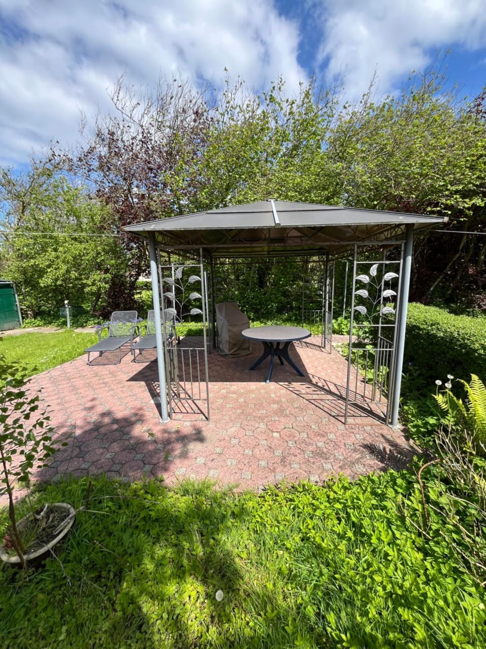 Balcony/Terrace, Seating area, sunbed