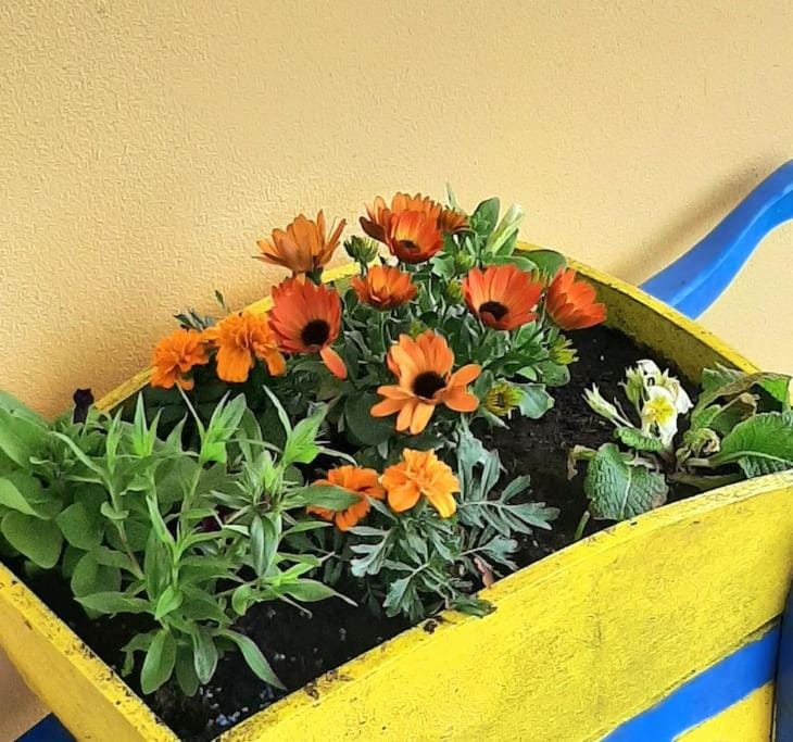 Hilltop Cottage House in County Clare