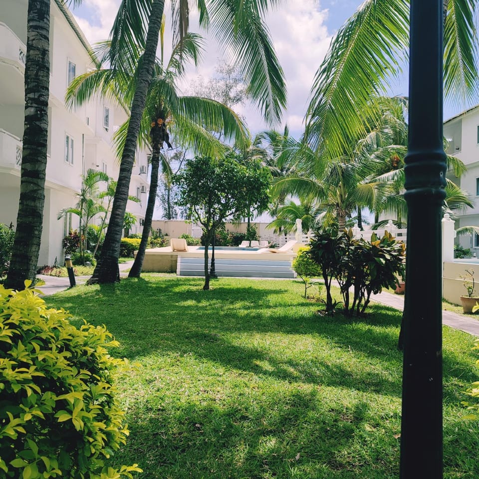 Garden, Garden, Garden view