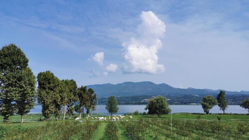 Natural landscape, Lake view, Mountain view