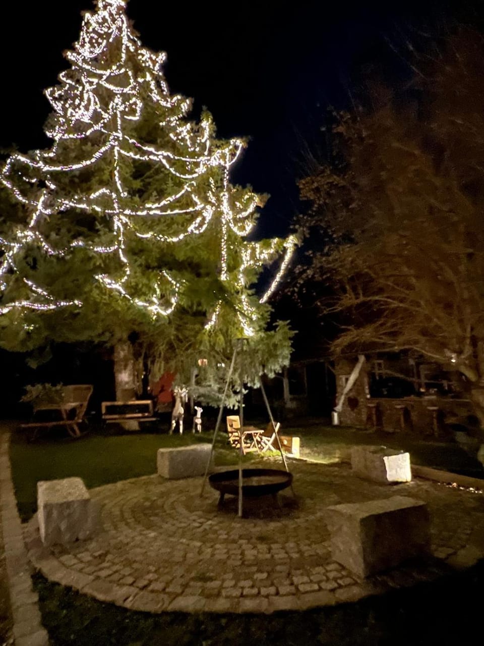 Night, Garden view