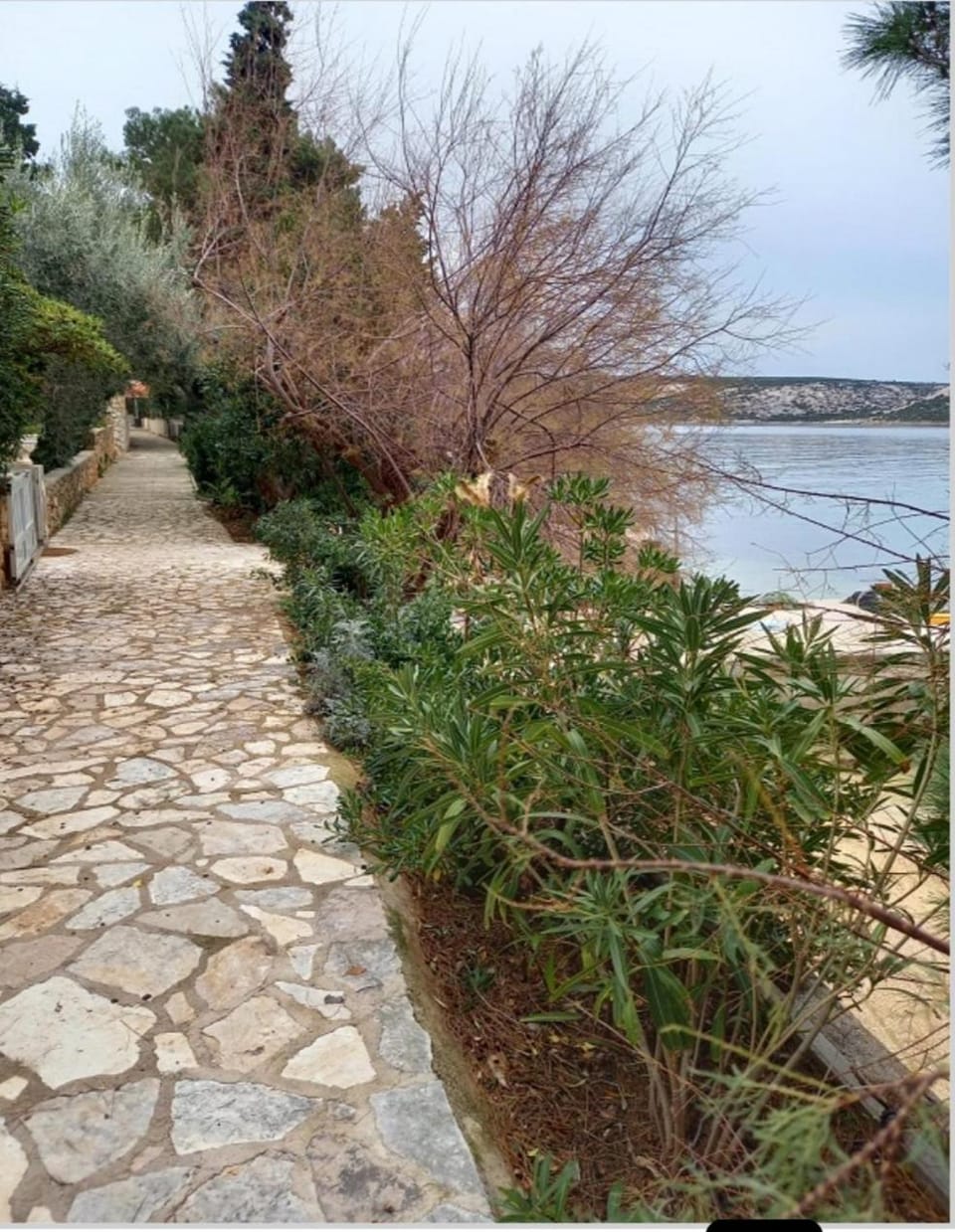 APARTMANI KATJA Apartment in Novalja