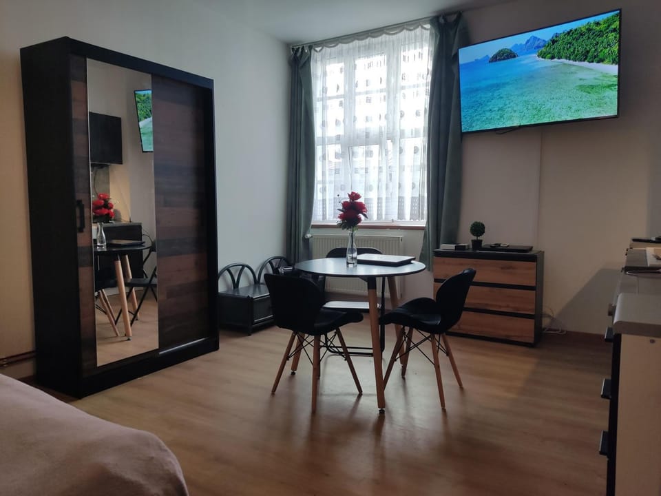 Bed, TV and multimedia, Kitchen or kitchenette, Living room, Dining area, hair dresser