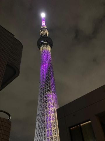 Sky Tree INN Ⅱ（晴樹宿Ⅱ） Ryokan in Japan