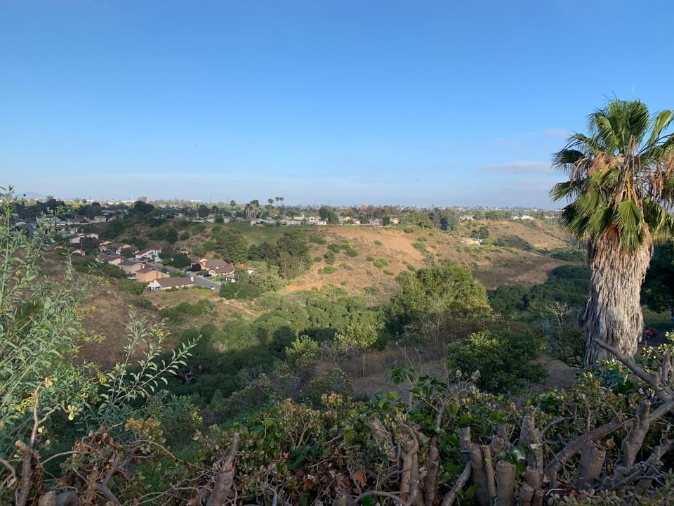 View (from property/room)