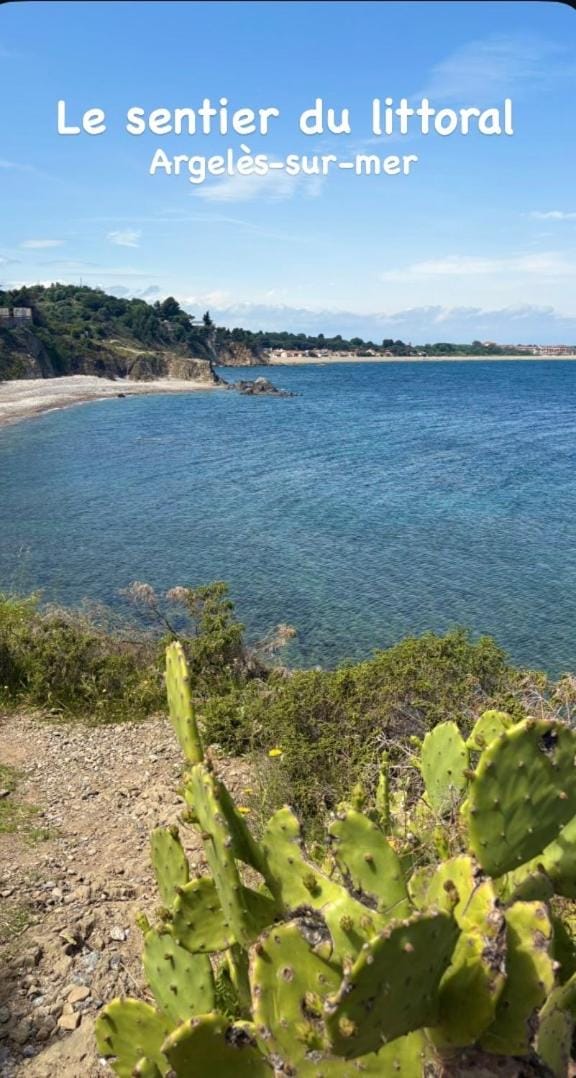 Une halte entre terre et mer Apartment in Occitanie