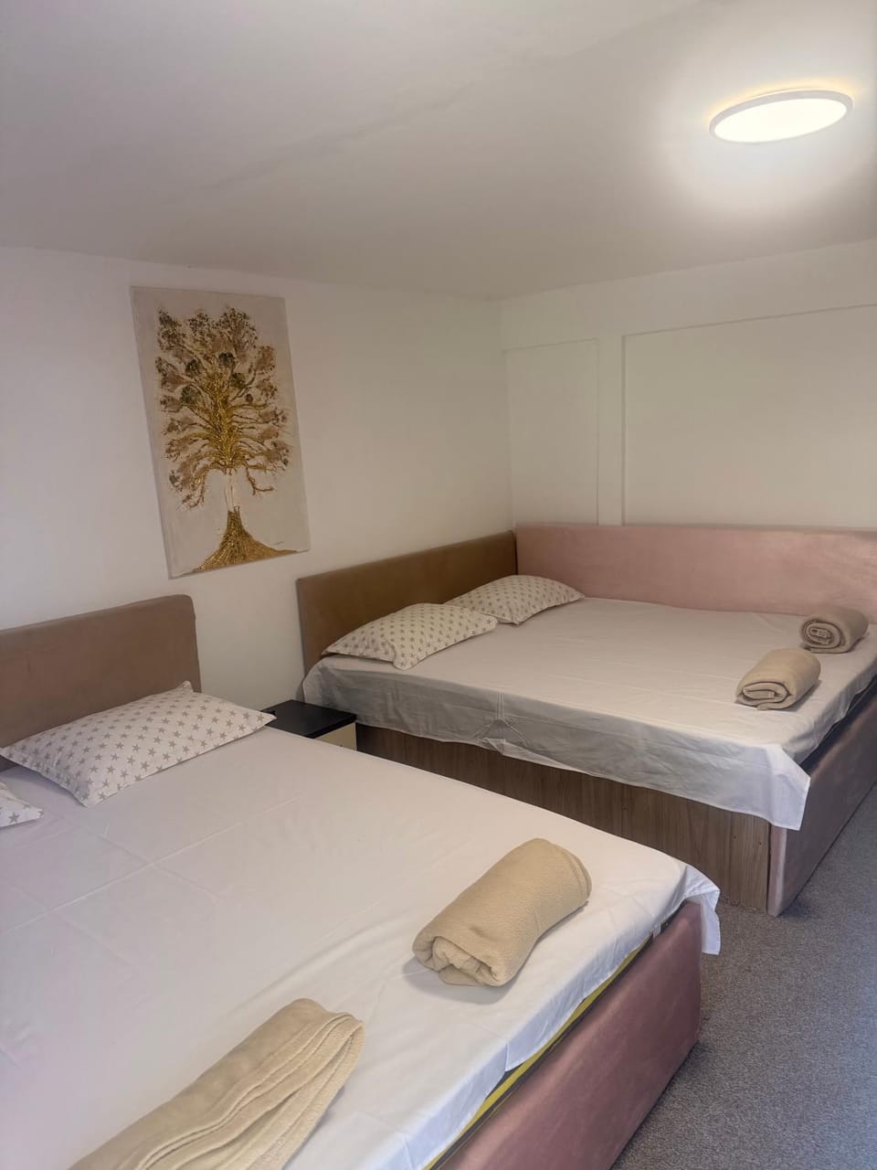 The house of roses Bed and Breakfast in Eforie Nord