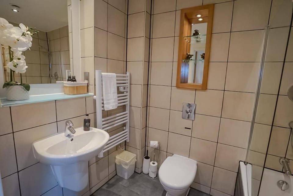 Toilet, Bathroom, Bath