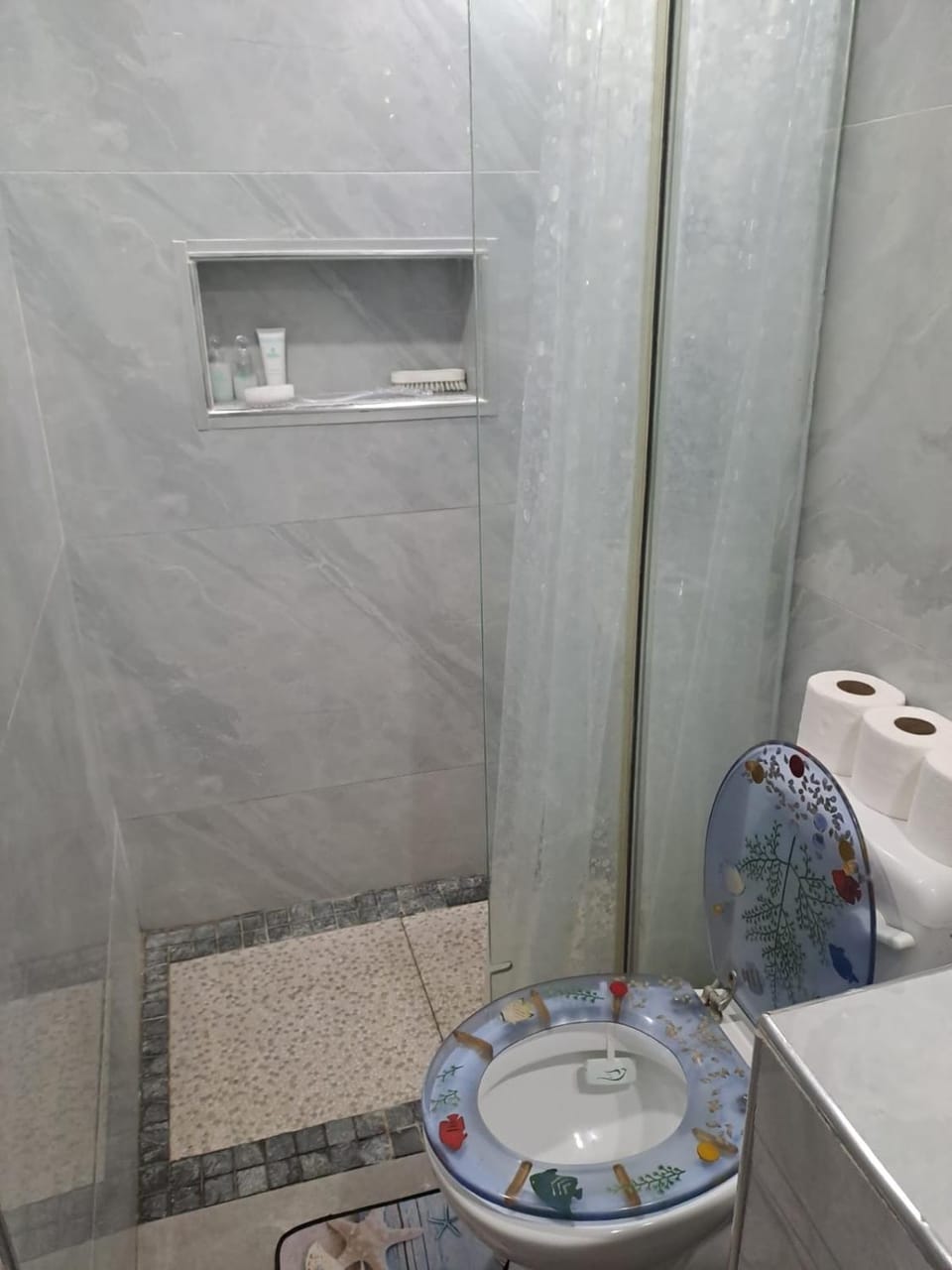 Shower, Toilet