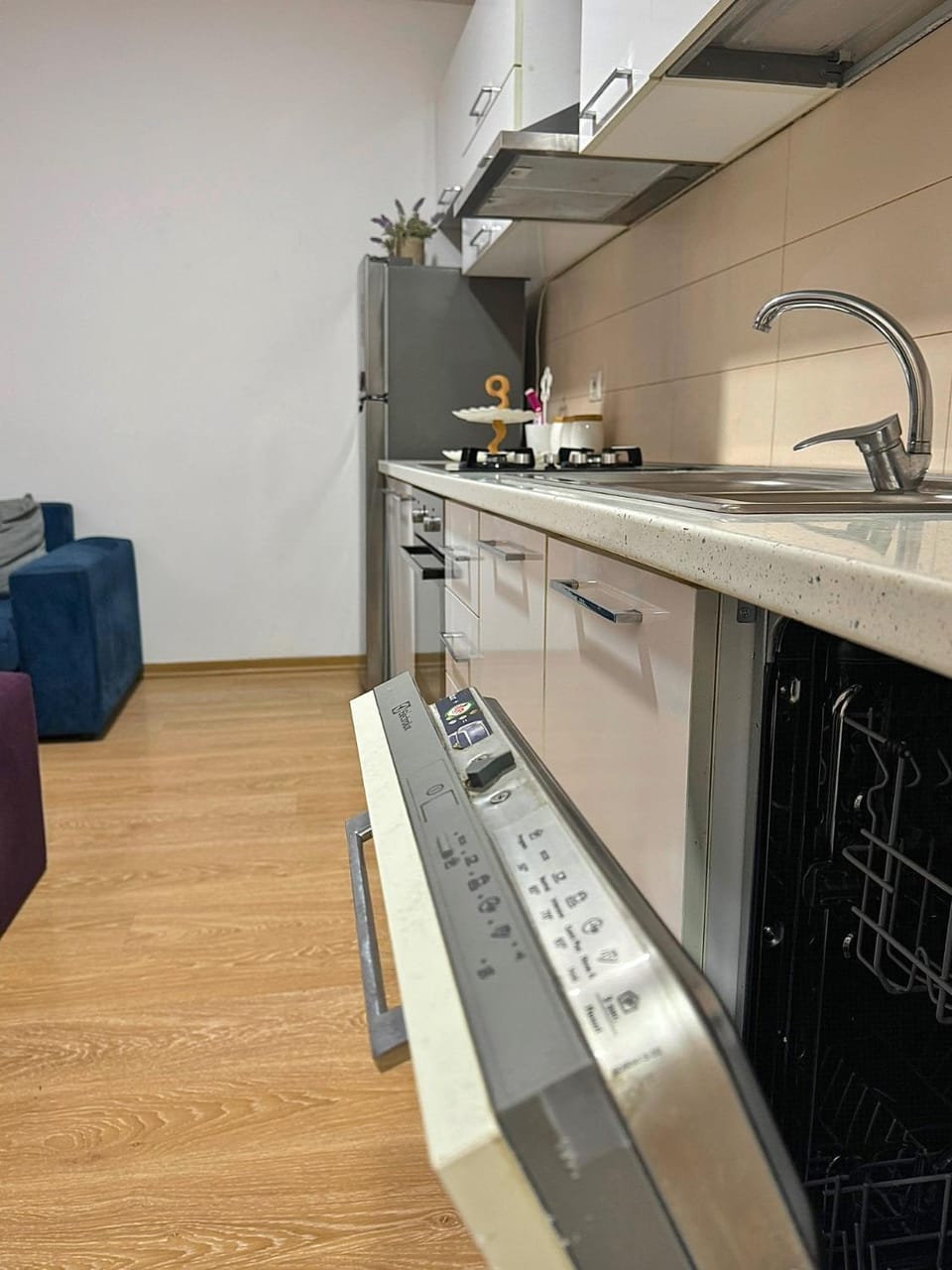 Kitchen or kitchenette, dishwasher, minibar