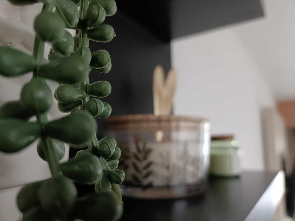 Le Studio Apartment in Hauts-de-France