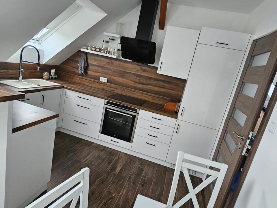 Kitchen or kitchenette, dishwasher, minibar, pet friendly, stove