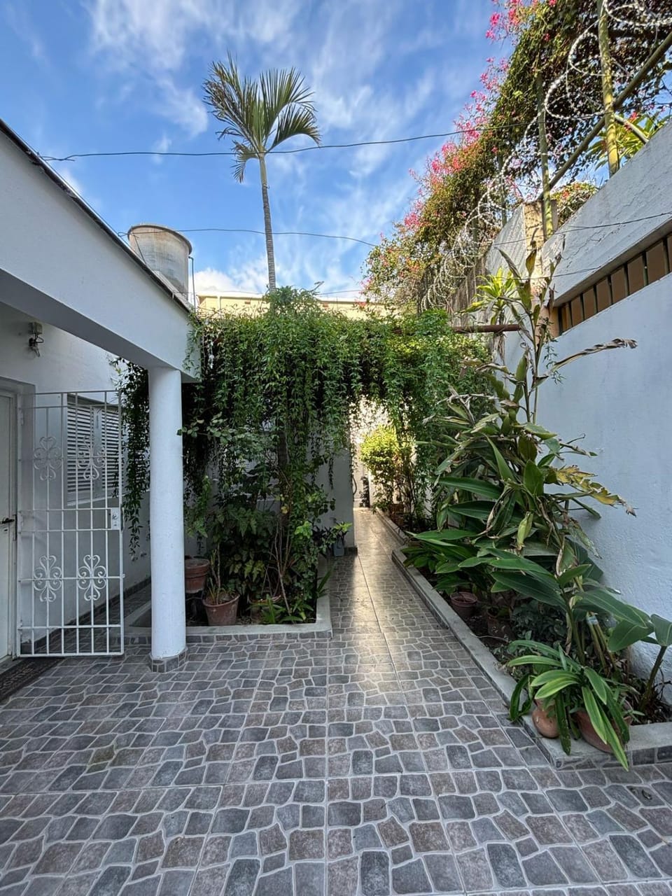 Day, Garden, Garden view