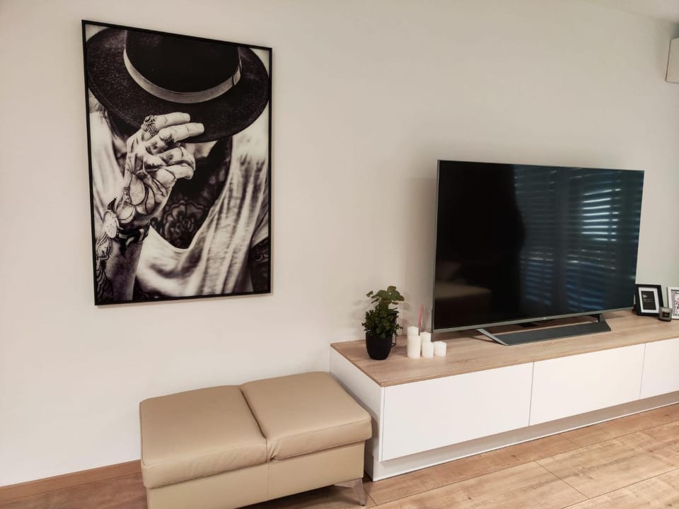 Communal lounge/ TV room, TV and multimedia