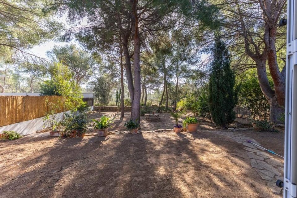 Natural landscape, Garden, Garden view
