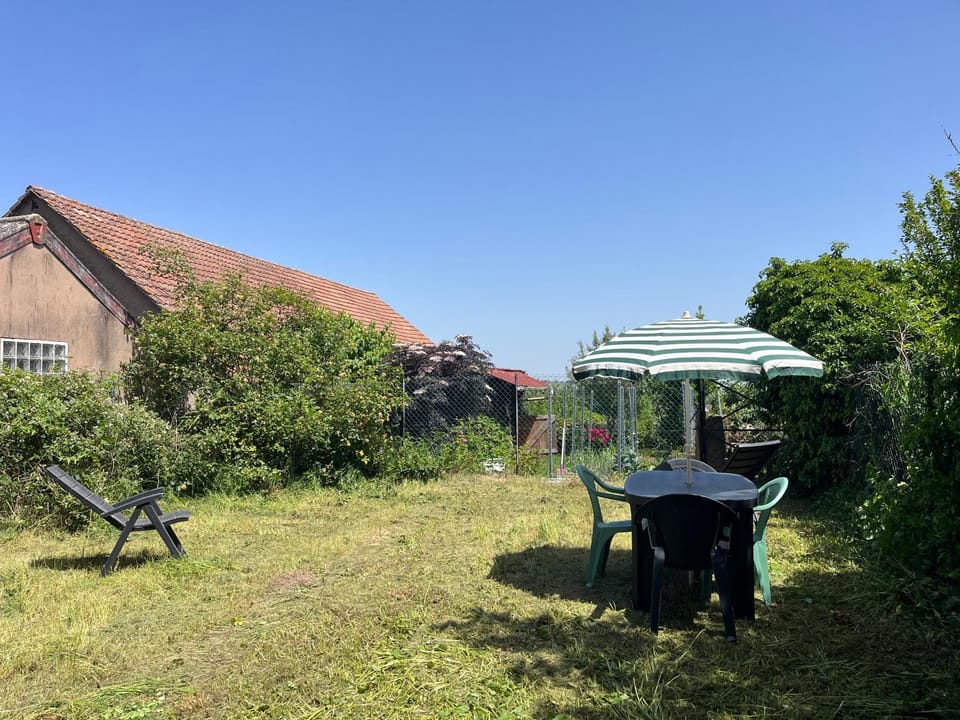 Natural landscape, Garden, Garden view