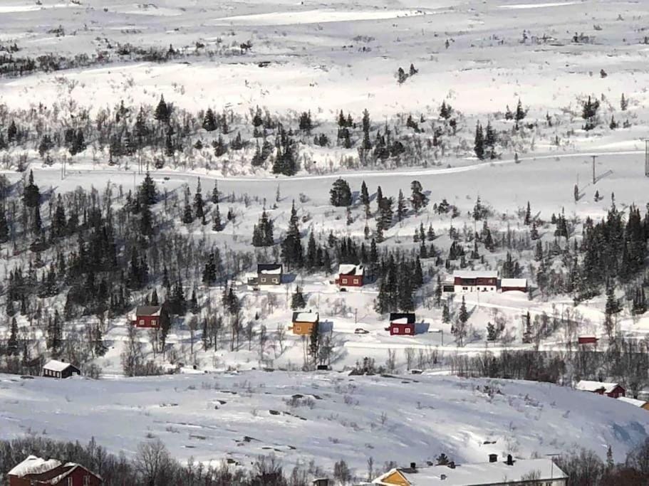Day, Bird's eye view, Winter