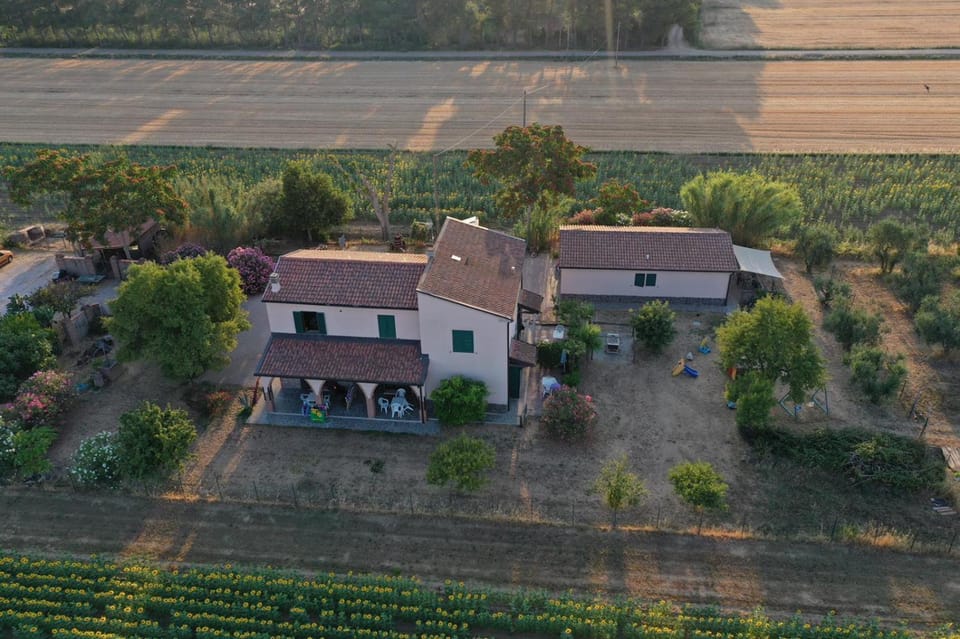 agriturismo bono - Golfo di Follonica Apartment in Tuscany