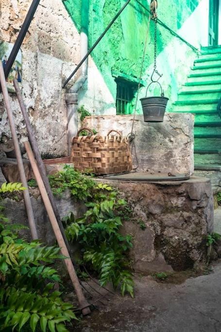 San Renato Country house House in Sant Agnello