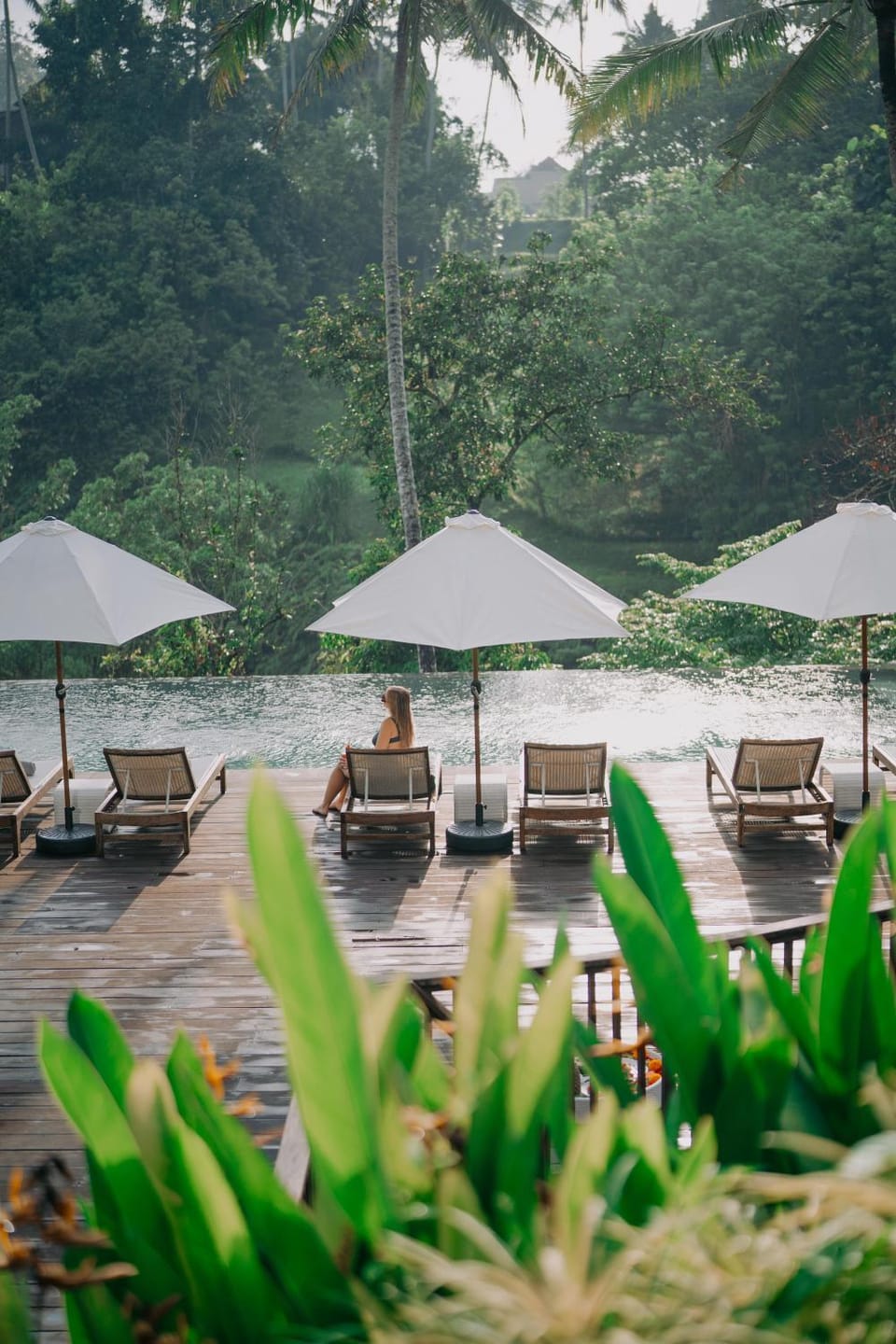 Pool view, Pool view, Swimming pool, Swimming pool, Swimming pool