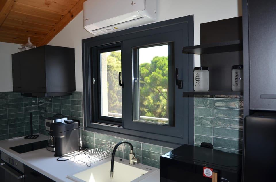 Kitchen or kitchenette, minibar, stove