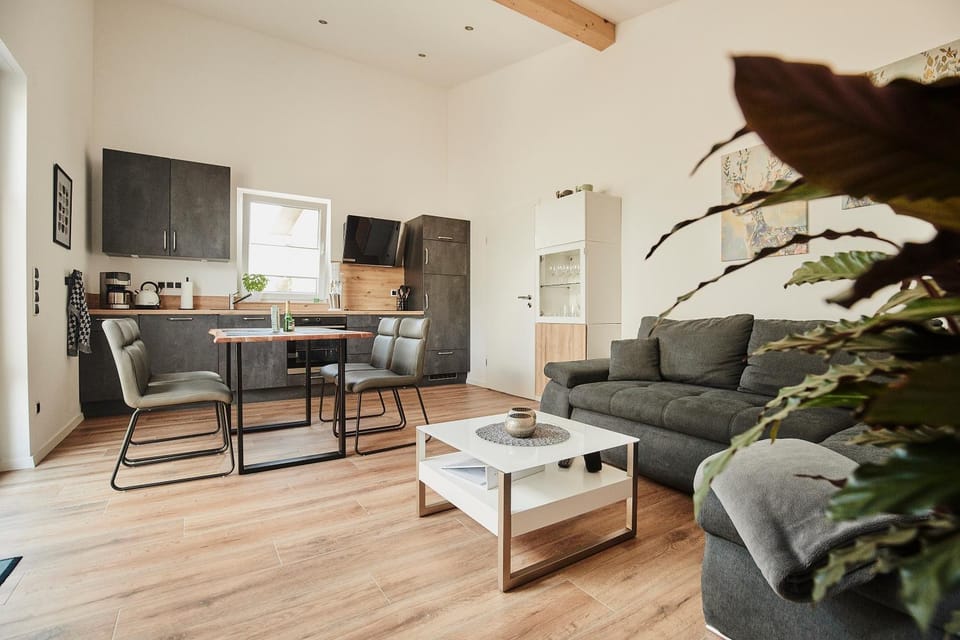 Kitchen or kitchenette, Living room, Seating area, Dining area