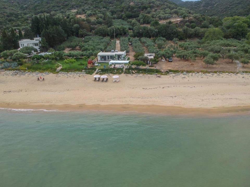 Property building, Bird's eye view, View (from property/room)