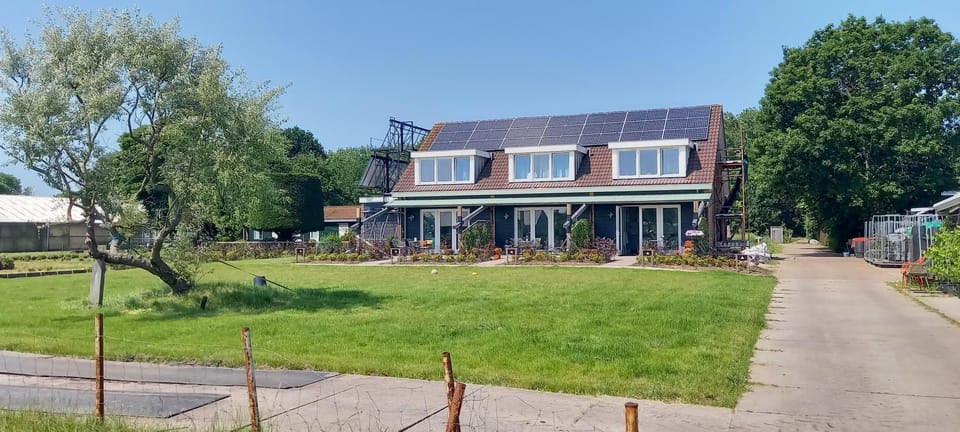 Property building, Garden, Garden view