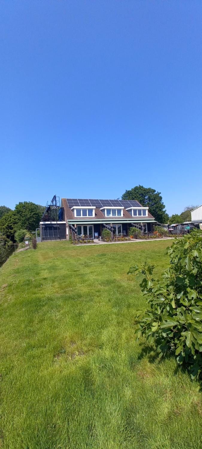 Property building, Natural landscape, Garden