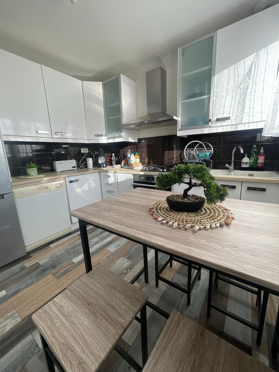 Kitchen or kitchenette, dishwasher, minibar, pet friendly, stove