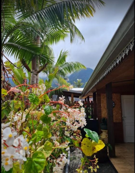 Garden, Mountain view