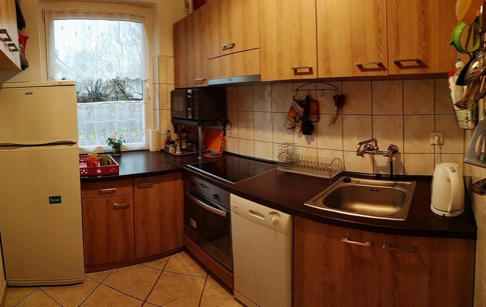 Kitchen or kitchenette, dishwasher, minibar, pet friendly, stove
