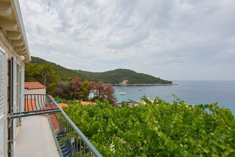 Holiday apartment in Saplunara with sea view, balcony, air conditioning, WiFi 5197-2 Apartment in Korita, Mljet