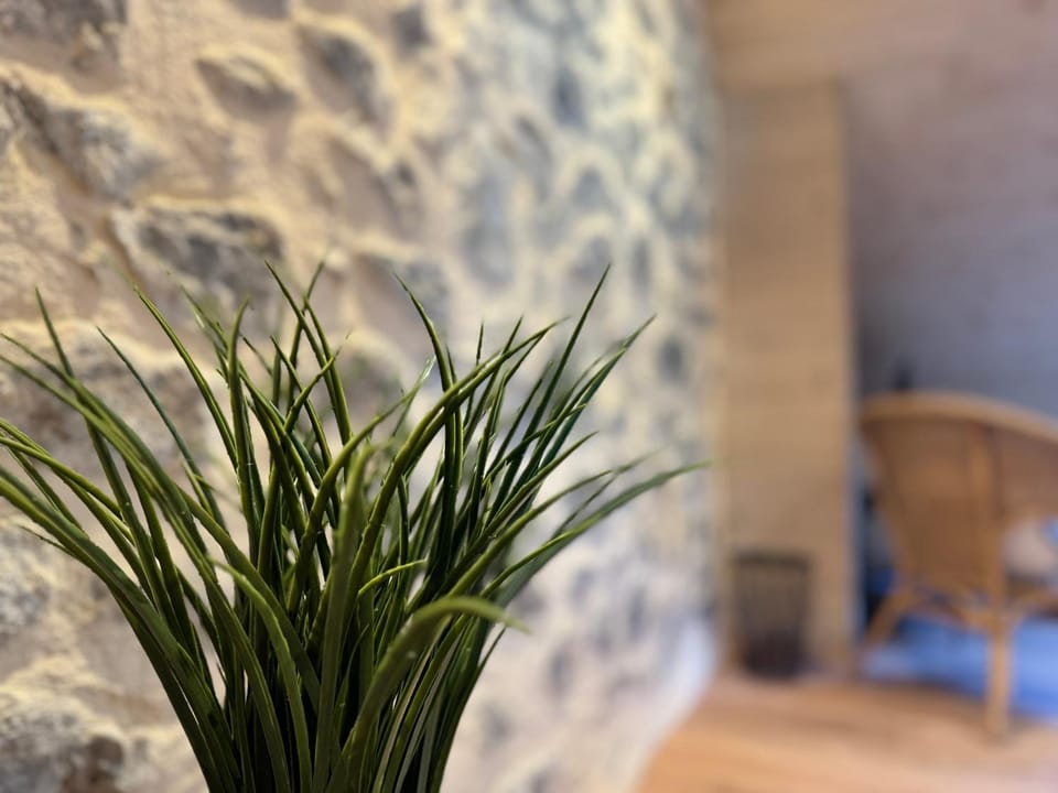 [Le LODGE] Apartment in Cauterets