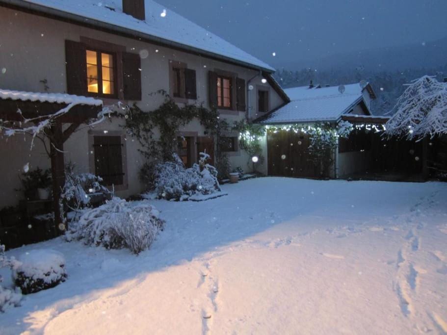 Property building, Night, Natural landscape, Winter