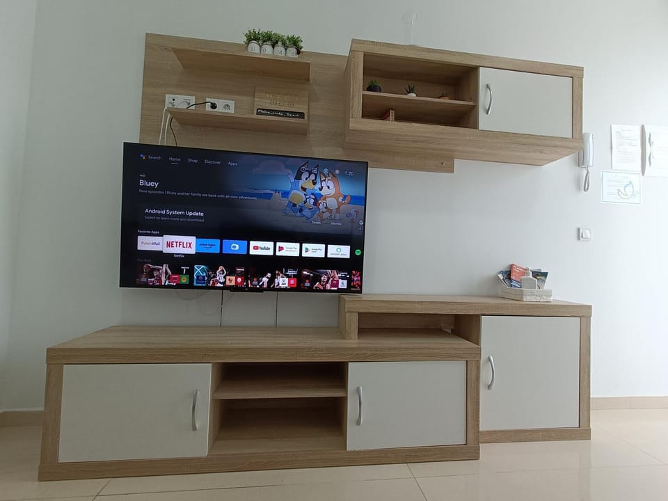TV and multimedia