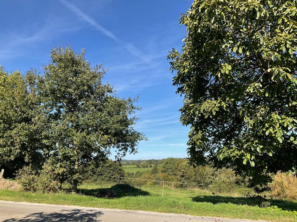 Natural landscape