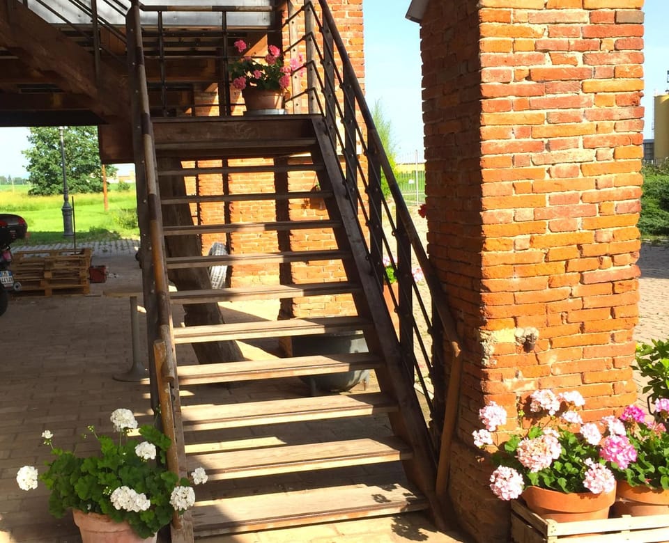 Spring, Day, Garden, Garden view