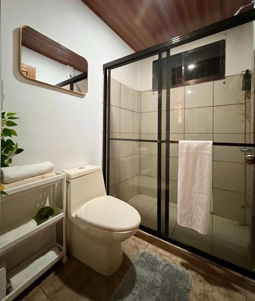 Shower, Toilet