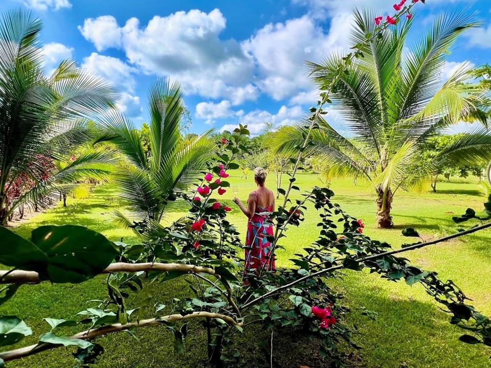 Garden view