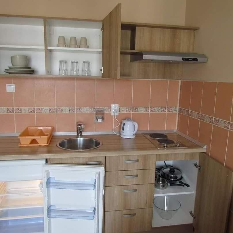 Luksuzni Apartmani Mitić-Mint Apartment in Serbia