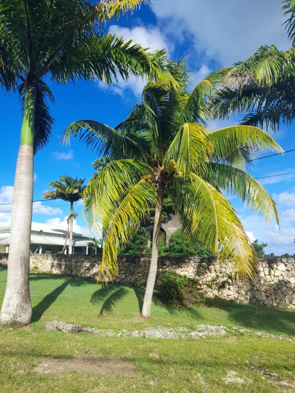 Moulin paradisiaque Apartment in Grande-Terre, Guadeloupe