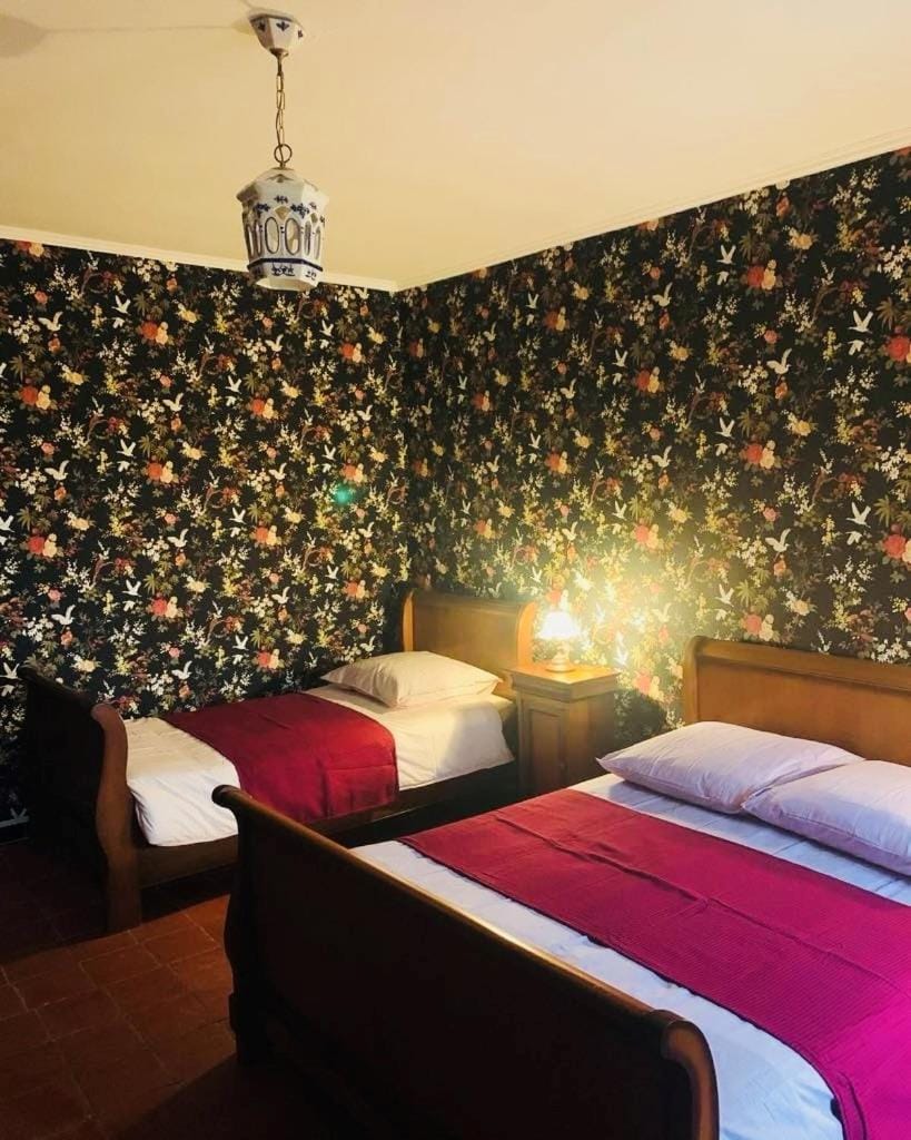 La Babayaga Bed and Breakfast in Occitanie