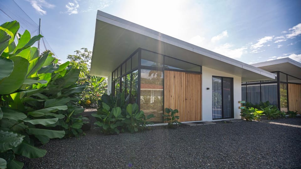 Property building, Garden view
