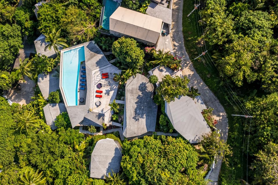Day, Bird's eye view, Swimming pool