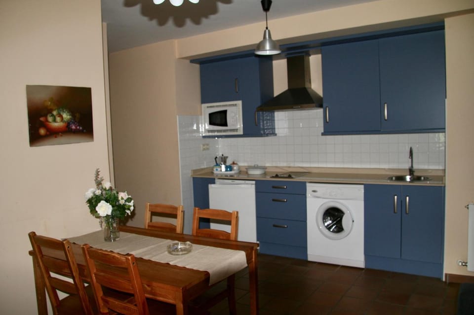 Kitchen or kitchenette, Dining area, minibar, stove, washing machine